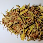 Fleurs de CBG Enectarol 2 Gr de 2024