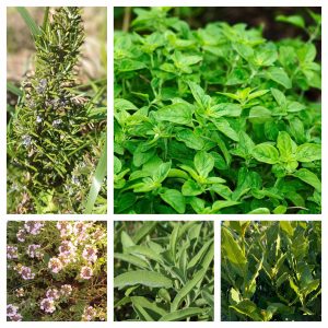 Mélange d’Herbes pour la cuisine